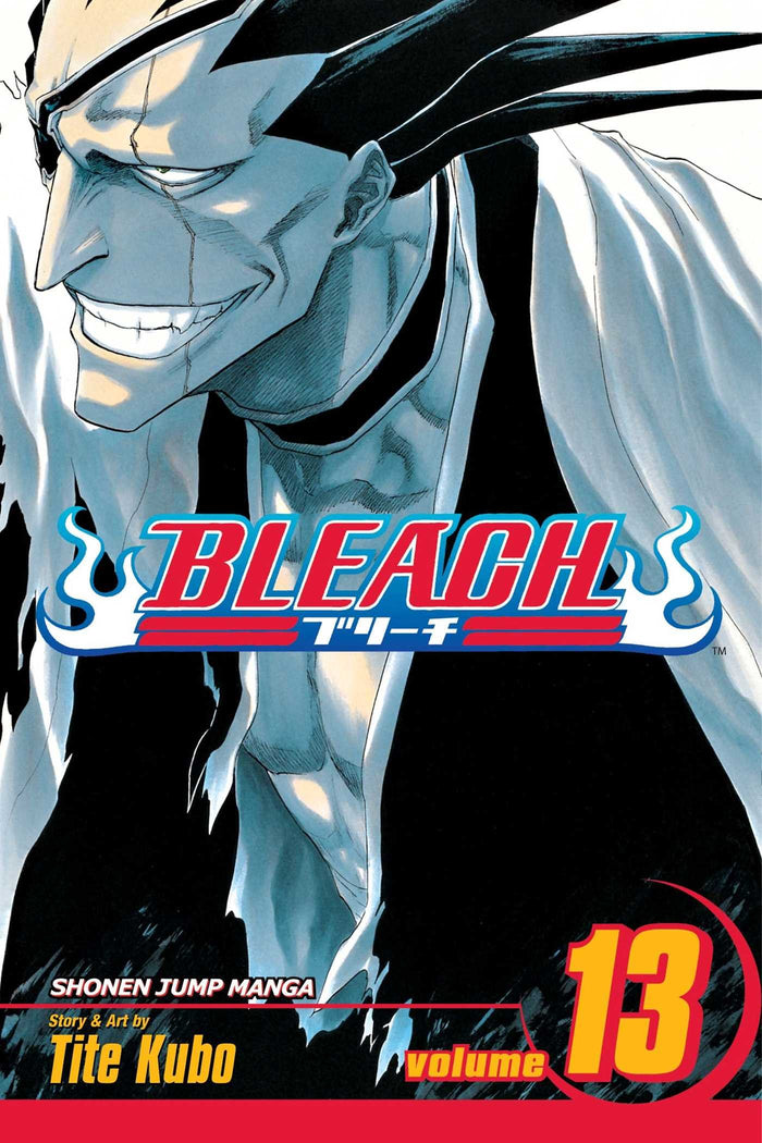 Bleach, Vol. 13 - Paperback cover