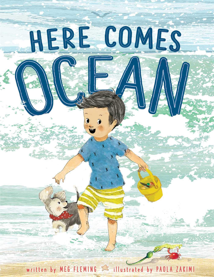 Here Comes Ocean by Meg Fleming - Hardcover cover