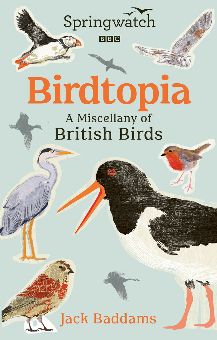 Springwatch: Birdtopia by Jack Baddams - Hardcover cover