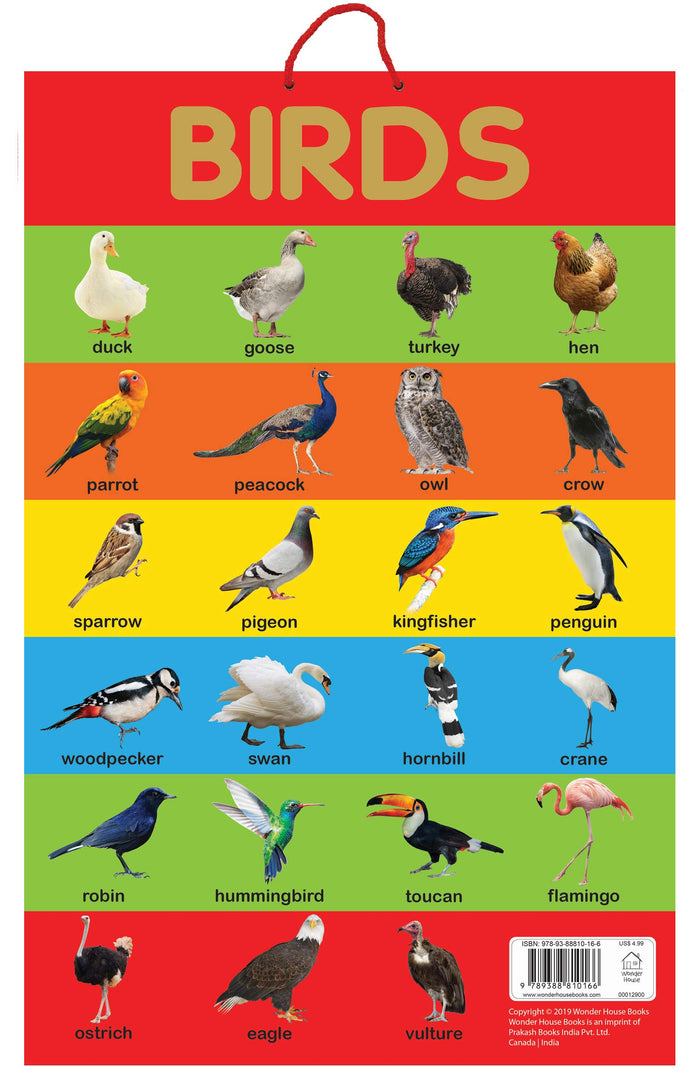 Birds - Early Learning Educational Posters For Children: Perfect For Kindergarten, Nursery and Homeschooling (19 Inches X 29 Inches) by Wonder House Books - Hardcover cover