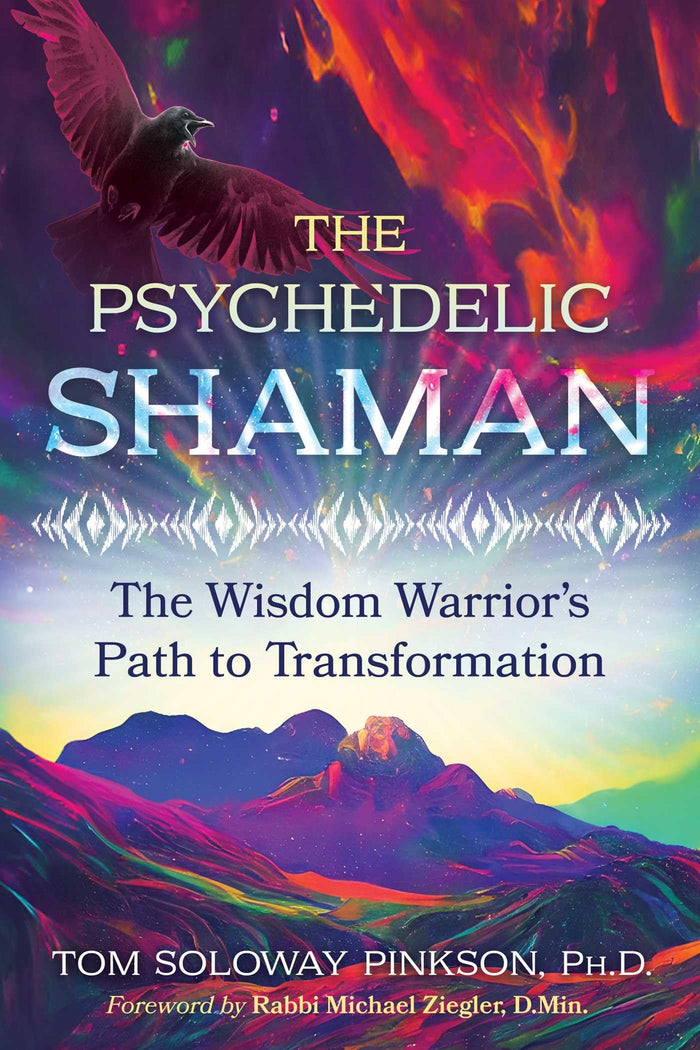 The Psychedelic Shaman: The Wisdom Warrior's Path to Transformation by Tom Soloway Pinkson Ph.D. - Paperback cover