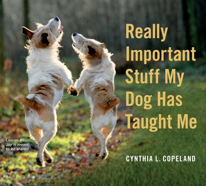Really Important Stuff My Dog Has Taught Me by Cynthia L. Copeland - Paperback cover