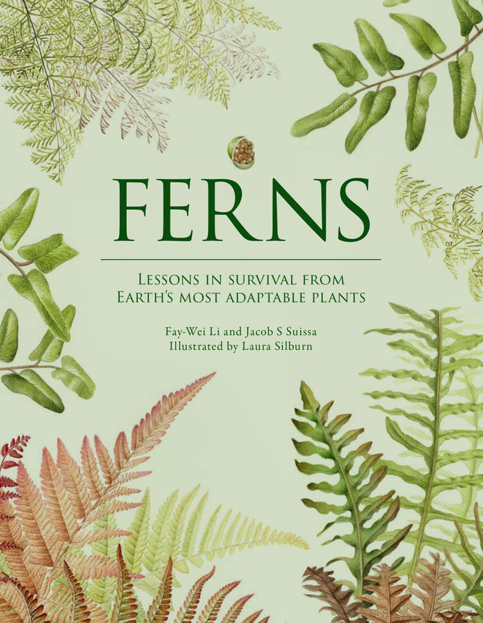 Ferns: Lessons in Survival From Earth’s Most Adaptable Plants by Fay-Wei Li - Hardcover cover