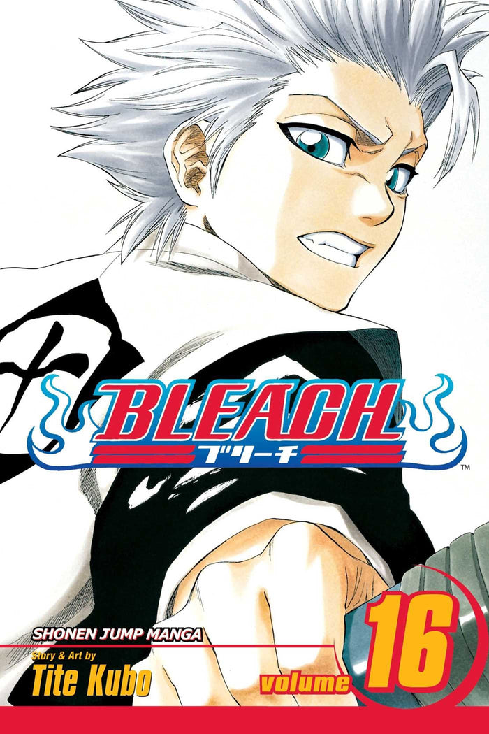 Bleach, Vol. 16 - Paperback cover