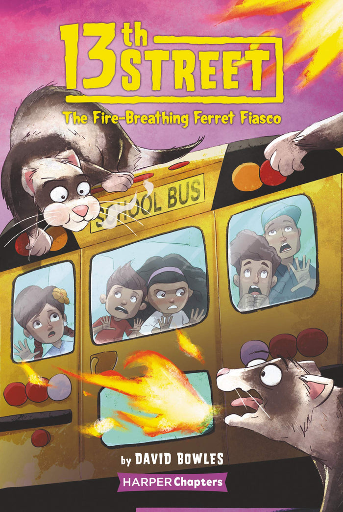 13th Street #2: The Fire-Breathing Ferret Fiasco: A Spooky Illustrated Chapter Book About Latinx Cousins for Kids (Ages 6-10) by David Bowles - Paperback cover