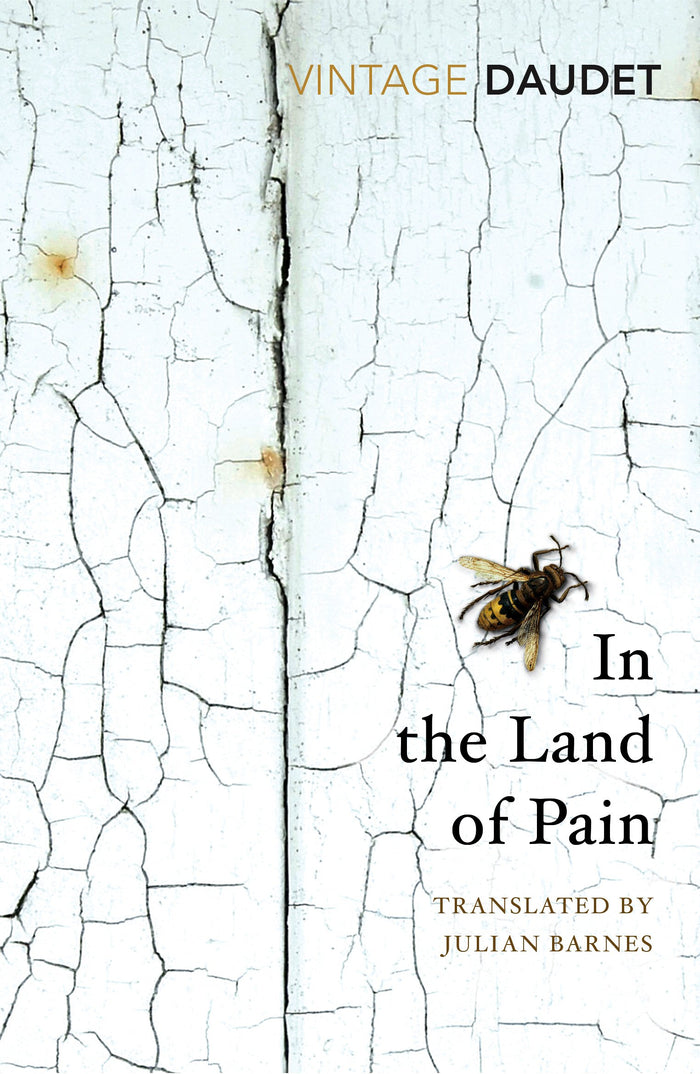 In the Land of Pain (Vintage Classics) by Alphonse Daudet - Paperback cover