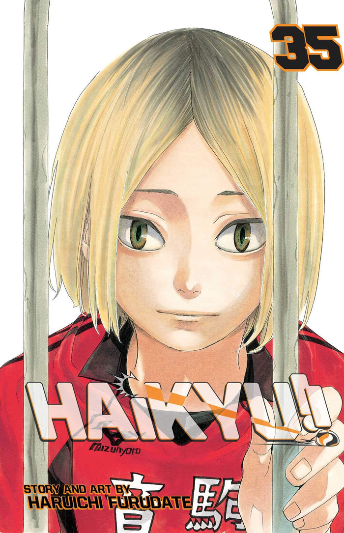Haikyu!!, Vol. 35: Birdcage by Haruichi Furudate - Paperback cover