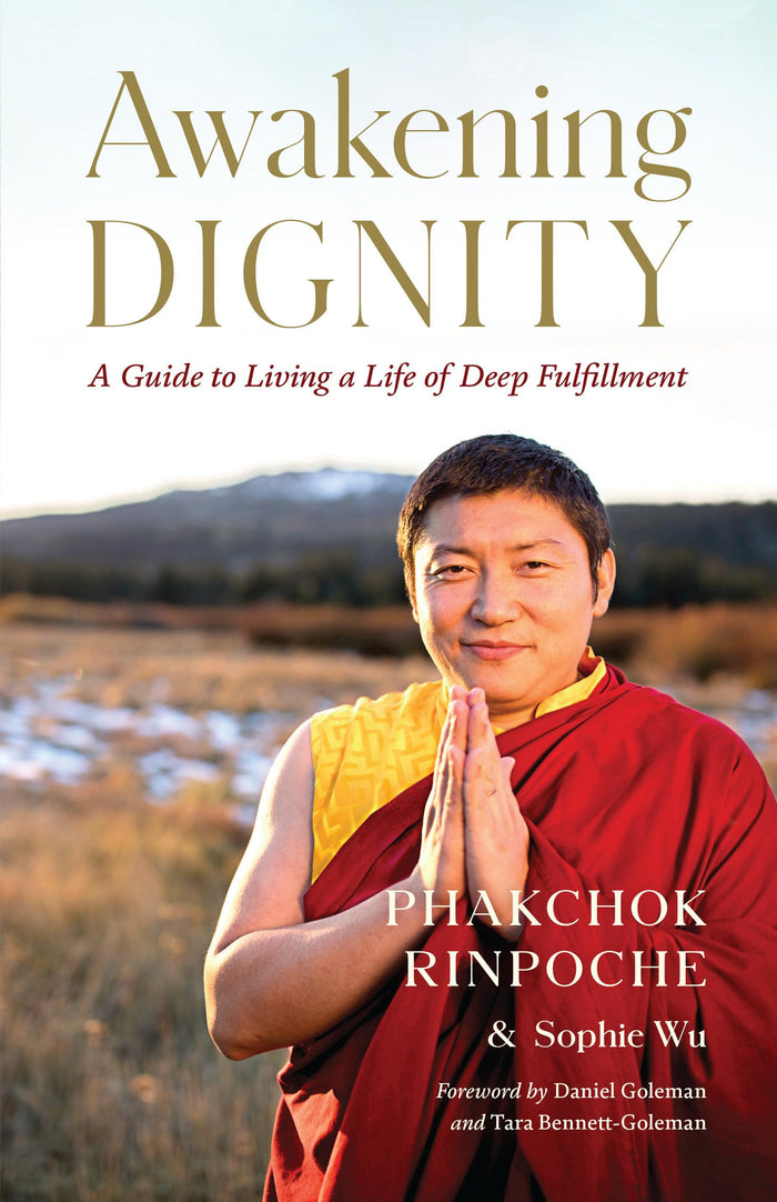 Awakening Dignity: A Guide to Living a Life of Deep Fulfillment by Phakchok Rinpoche - Paperback cover
