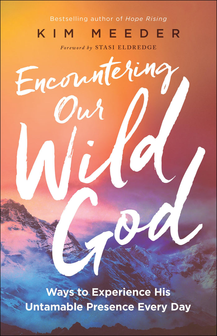 Encountering Our Wild God: Ways to Experience His Untamable Presence Every Day by Kim Meeder - Paperback cover