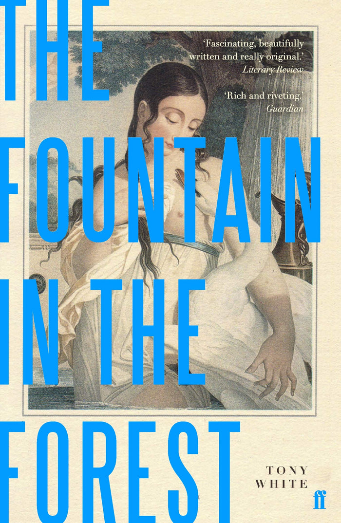 Fountain In The Forest by Tony White - Paperback cover