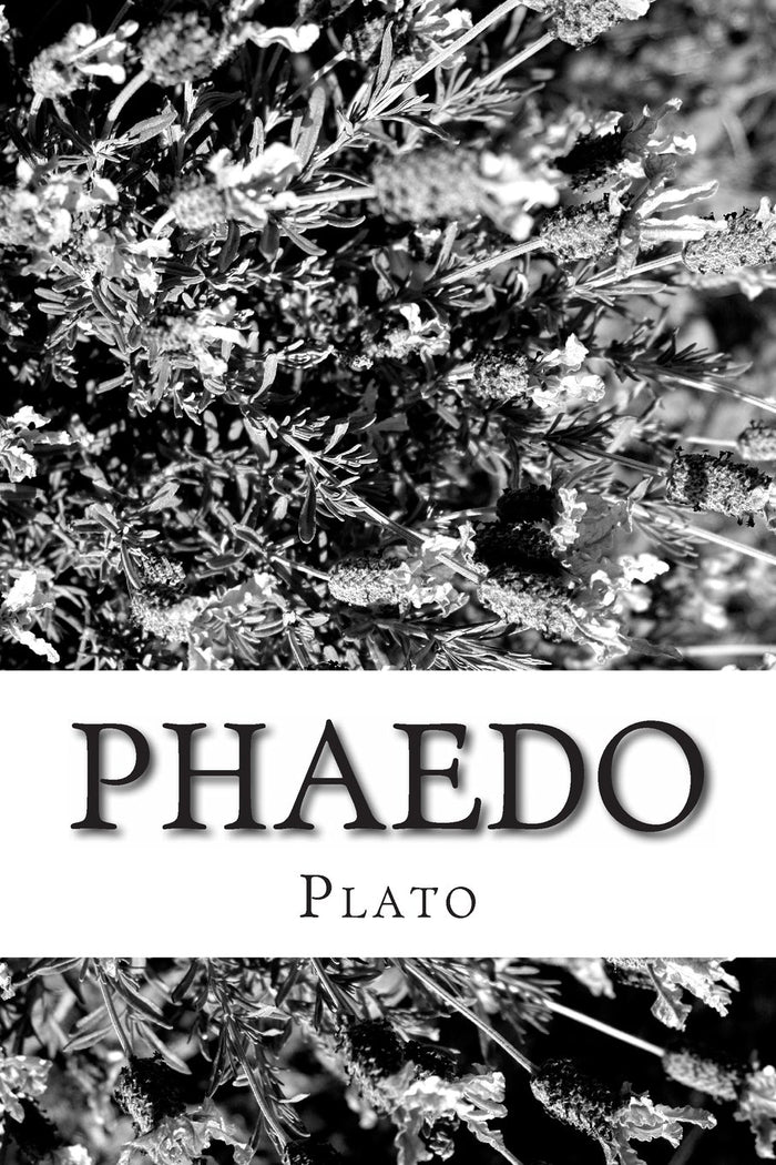 Phaedo by Plato - Paperback cover