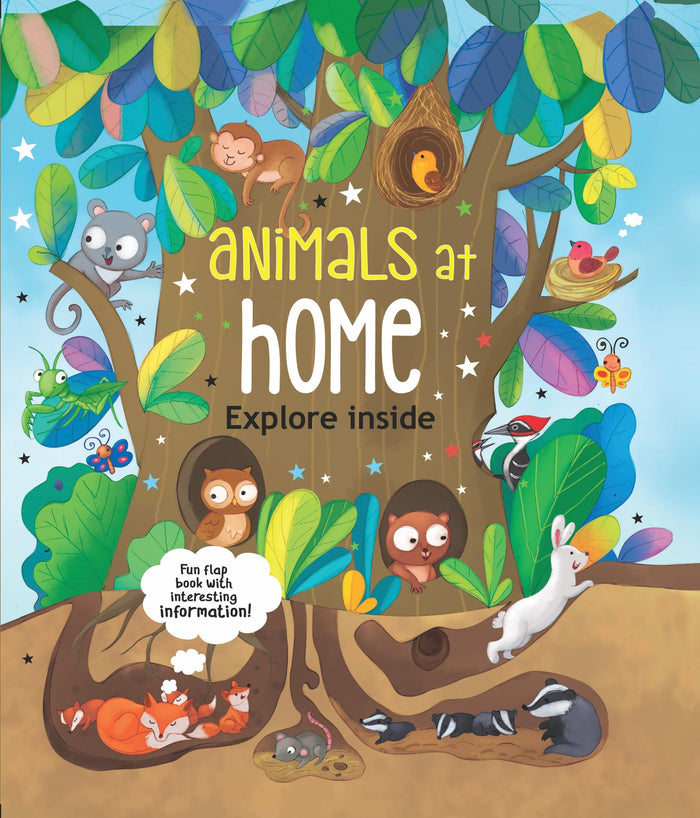 Animals at Home: Torch Book by Booktopus - Board Book cover