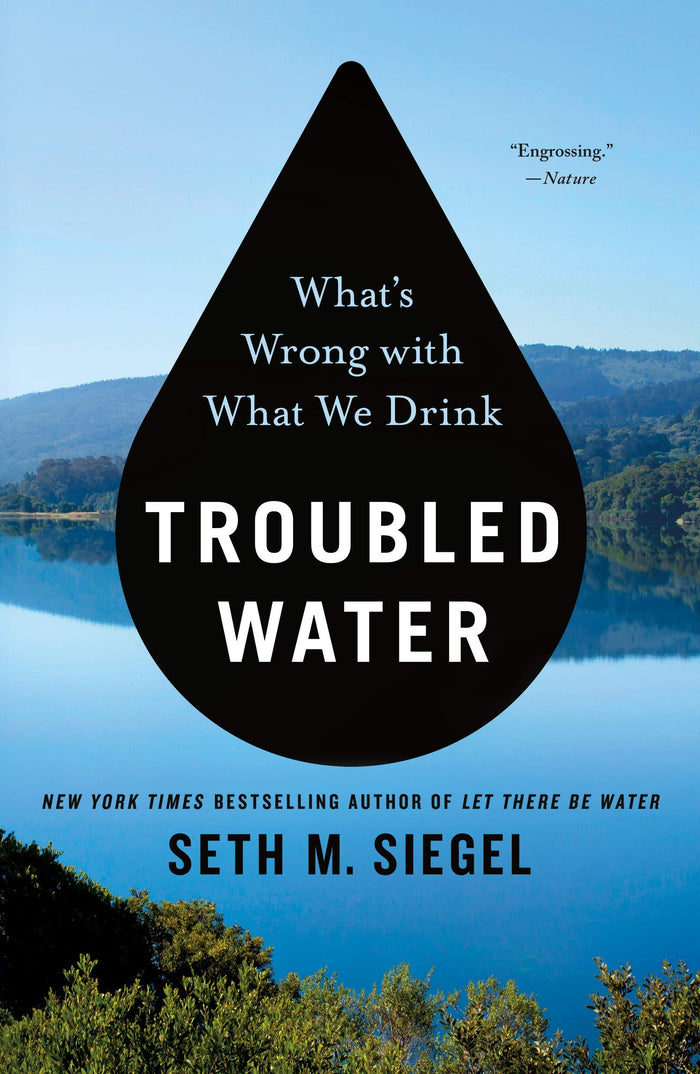 Troubled Water by Seth M Siegel - Paperback cover
