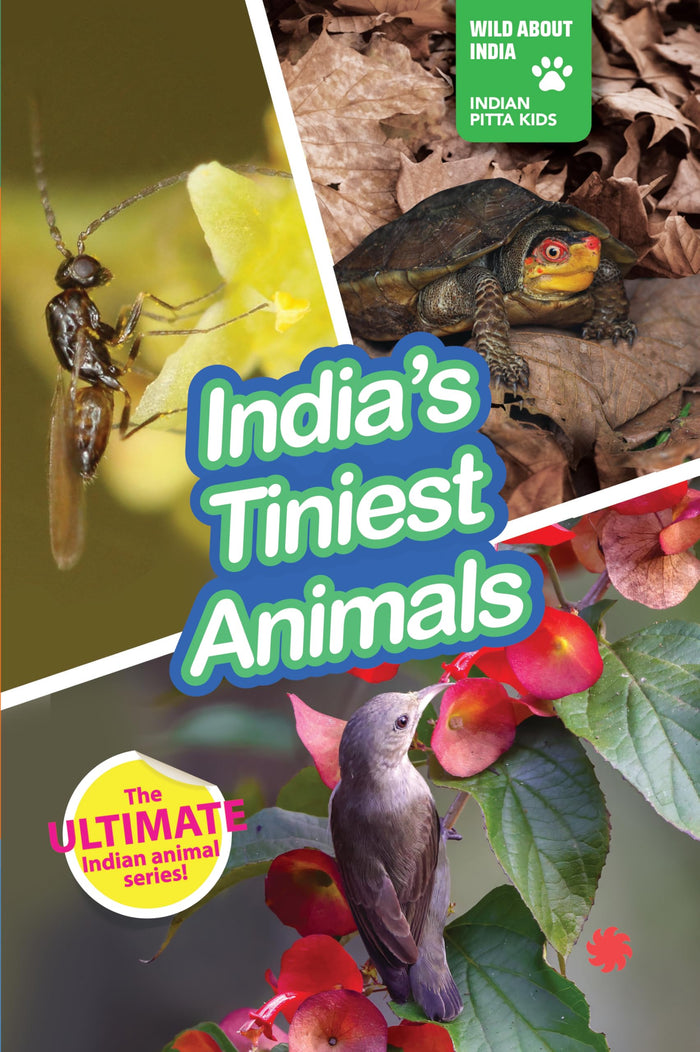 India's Tiniest Animals by Juggernaut Books - Paperback cover