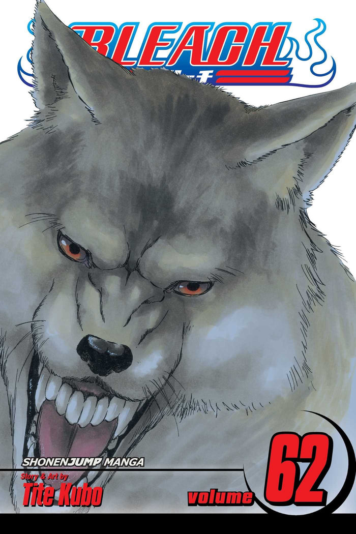 Bleach, Vol. 62: Heart of Wolf by Tite Kubo - Paperback cover