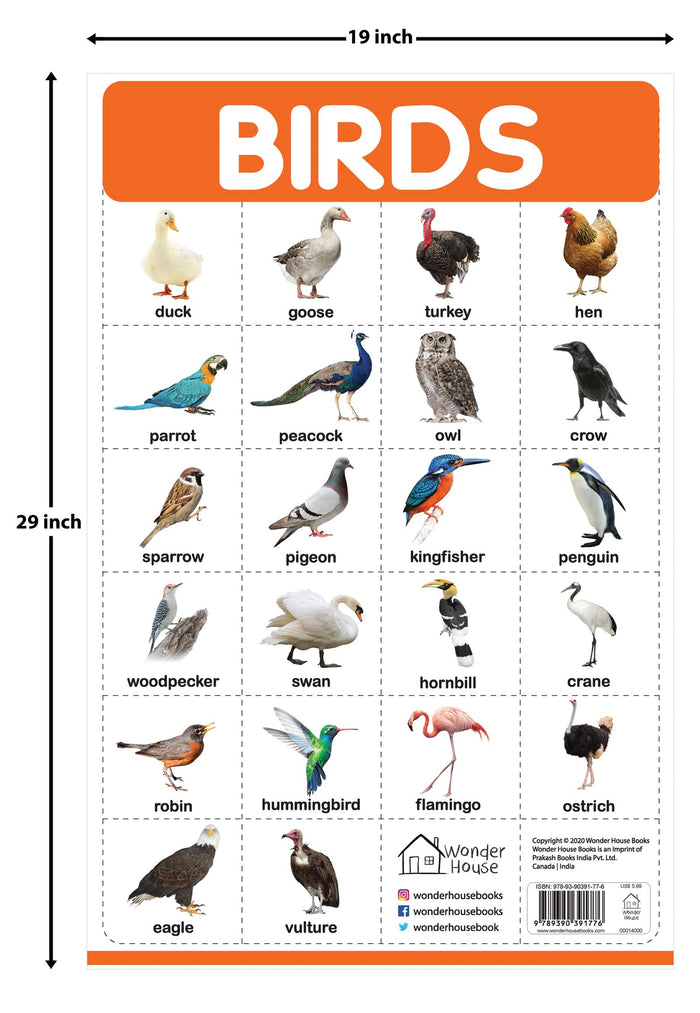 Birds - My First Early Learning Wall Posters: For Preschool, Kindergarten, Nursery And Homeschooling (19 Inches X 29 Inches) by Wonder House Books - Paperback cover