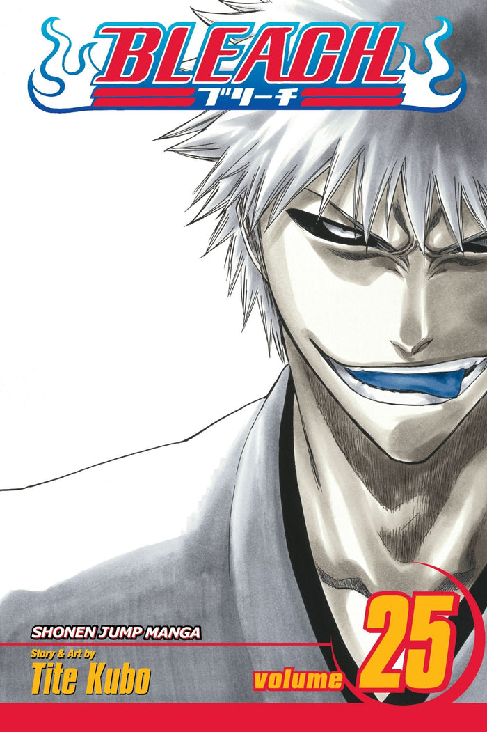 Bleach, Vol. 25 by Tite Kubo - Paperback cover