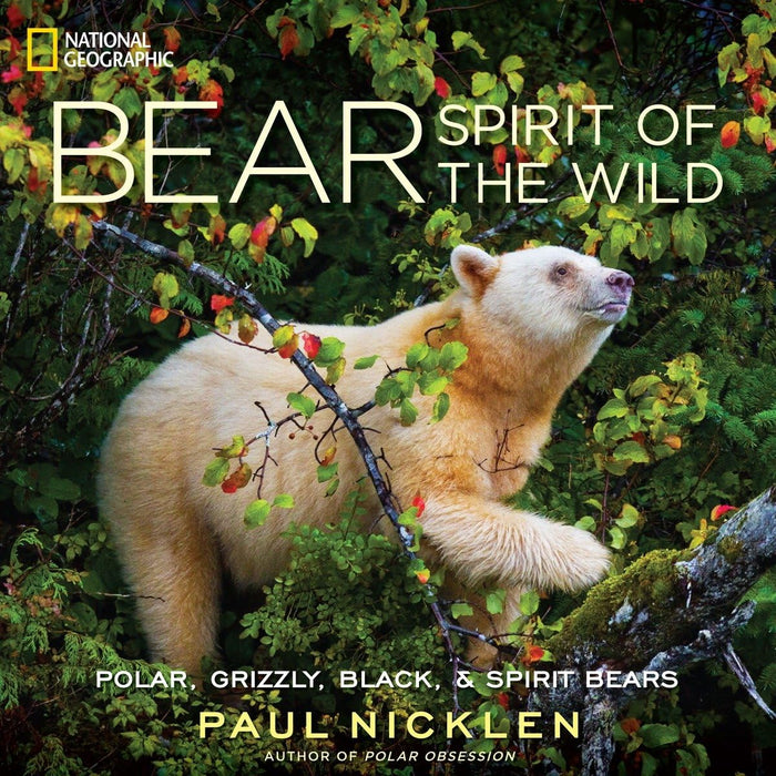 Bear: Spirit of the Wild by Paul Nicklen - Hardcover cover
