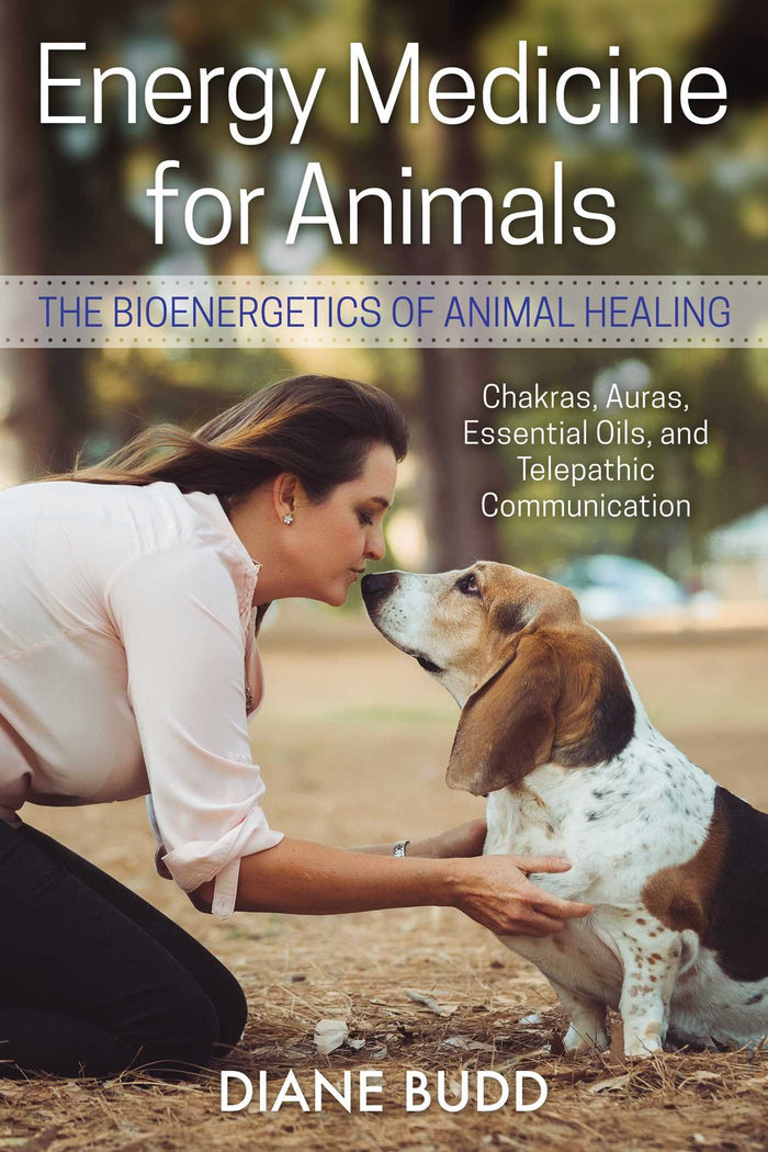 Energy Medicine for Animals: The Bioenergetics of Animal Healing by Diane Budd - Paperback cover