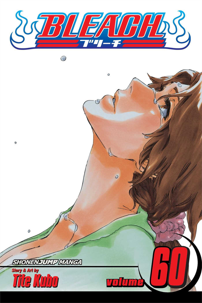Bleach, Vol. 60 by Tite Kubo - Paperback cover