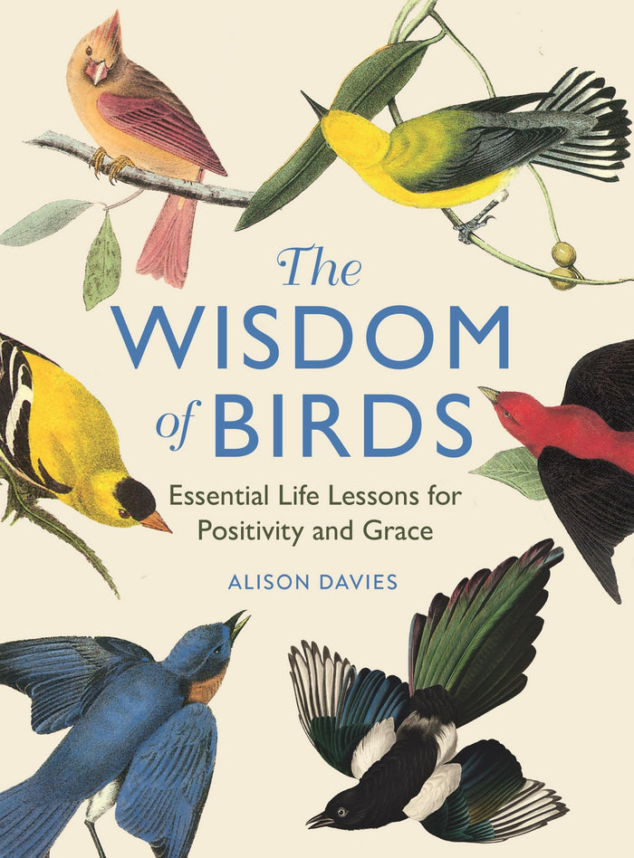 The Wisdom of Birds: Essential Life Lessons for Positivity and Grace by Alison Davies - Hardcover cover