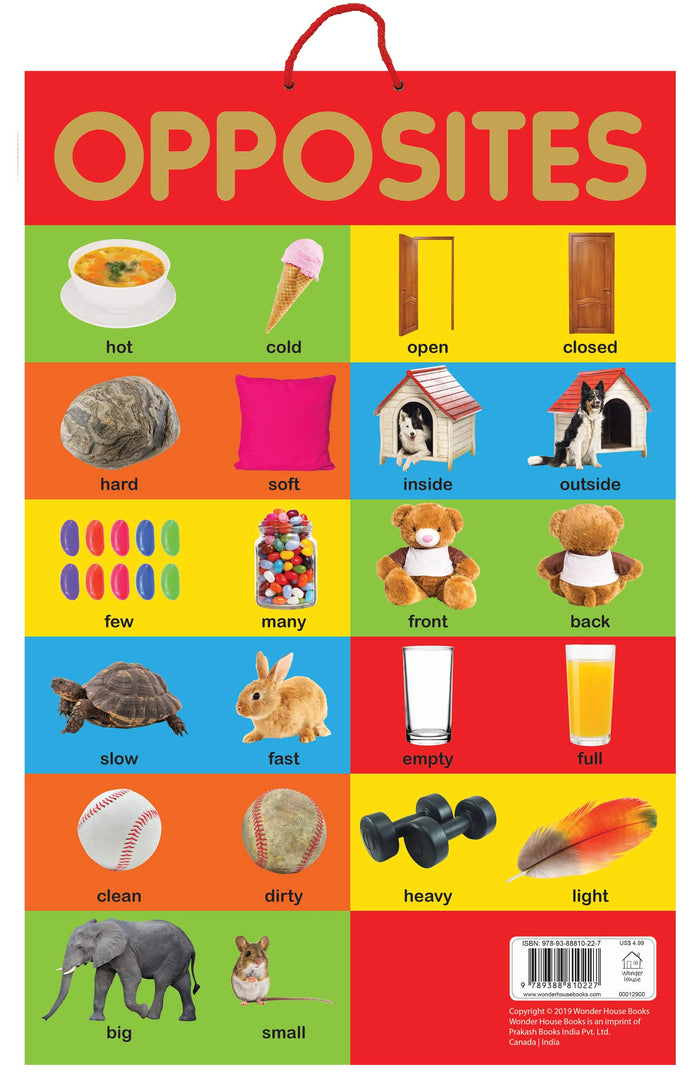 Opposites - Early Learning Educational Posters For Children: Perfect For Kindergarten, Nursery and Homeschooling (19 Inches X 29 Inches) by Wonder House Books - Paperback cover