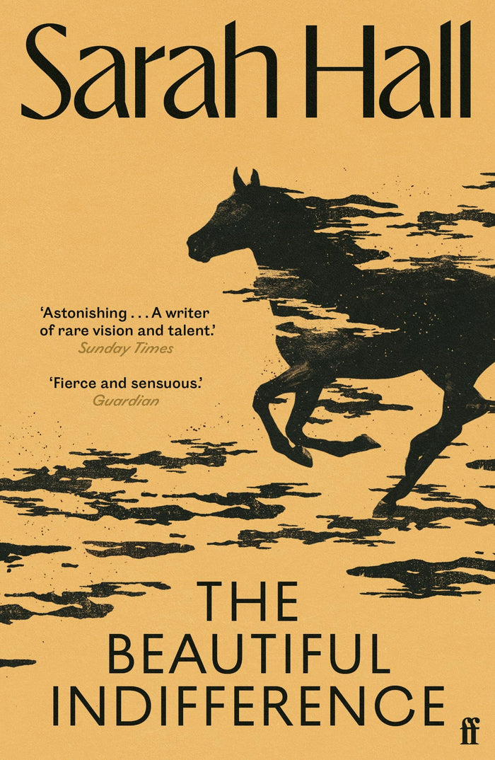 The Beautiful Indifference by Sarah Hall - Paperback cover