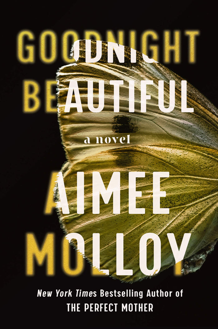 Goodnight Beautiful: A Novel by Aimee Molloy - Hardcover cover
