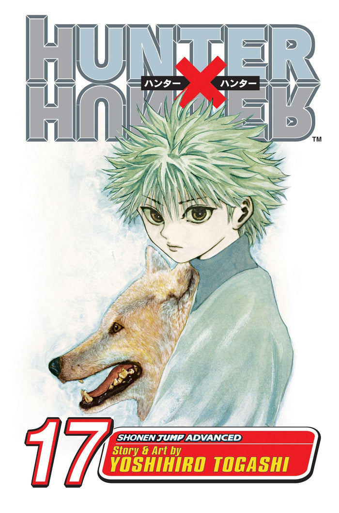 Hunter x Hunter, Vol. 17: A Fierce Three-Way Struggle by Yoshihiro Togashi - Paperback cover