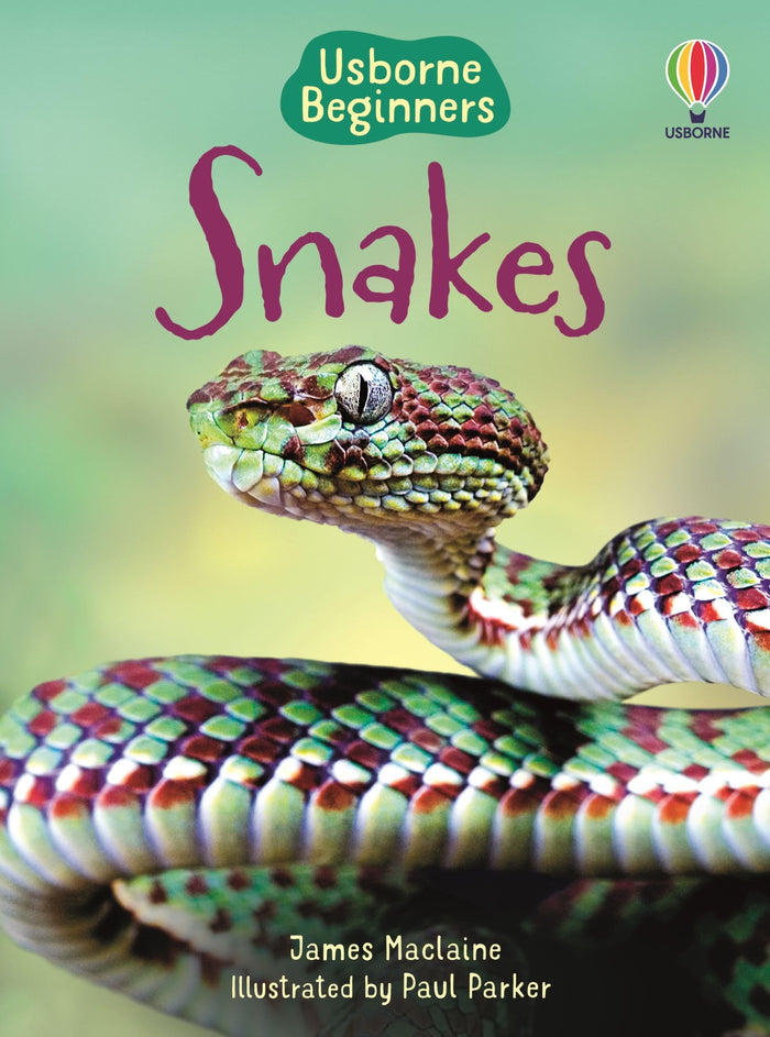 Snakes (Beginners) by James Maclaine - Hardcover cover