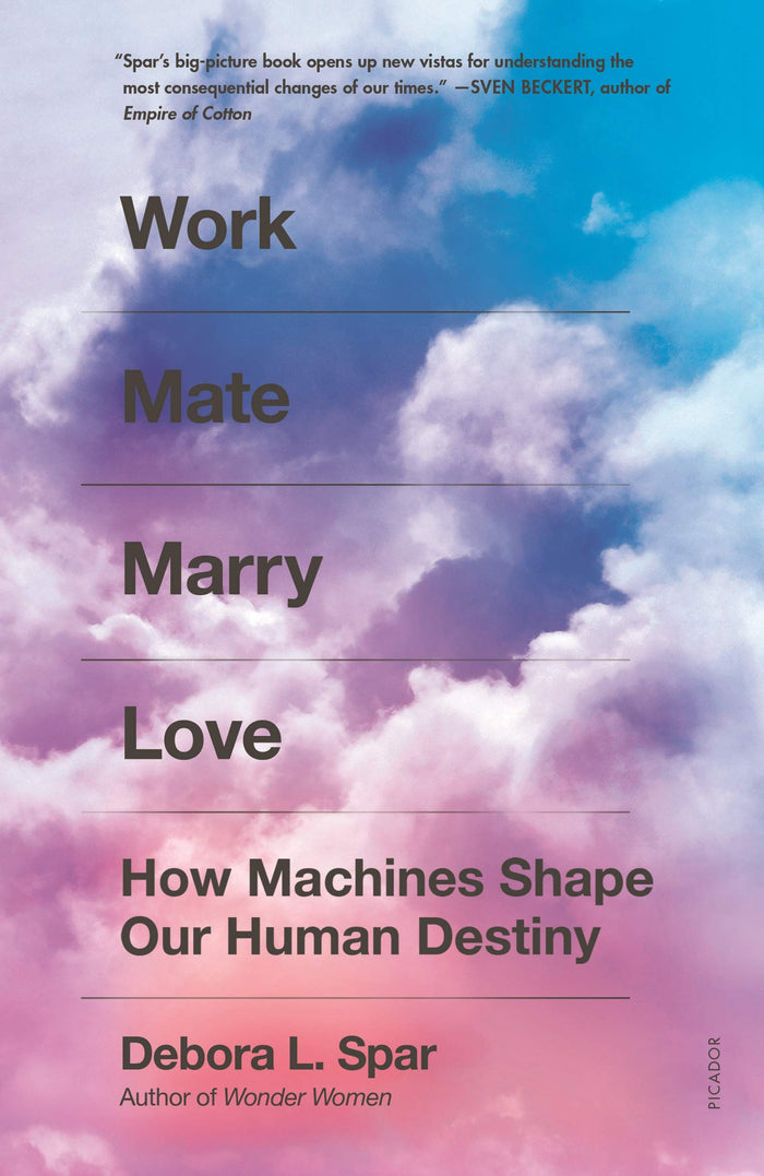 Work Mate Marry Love by Debora L Spar - Paperback cover