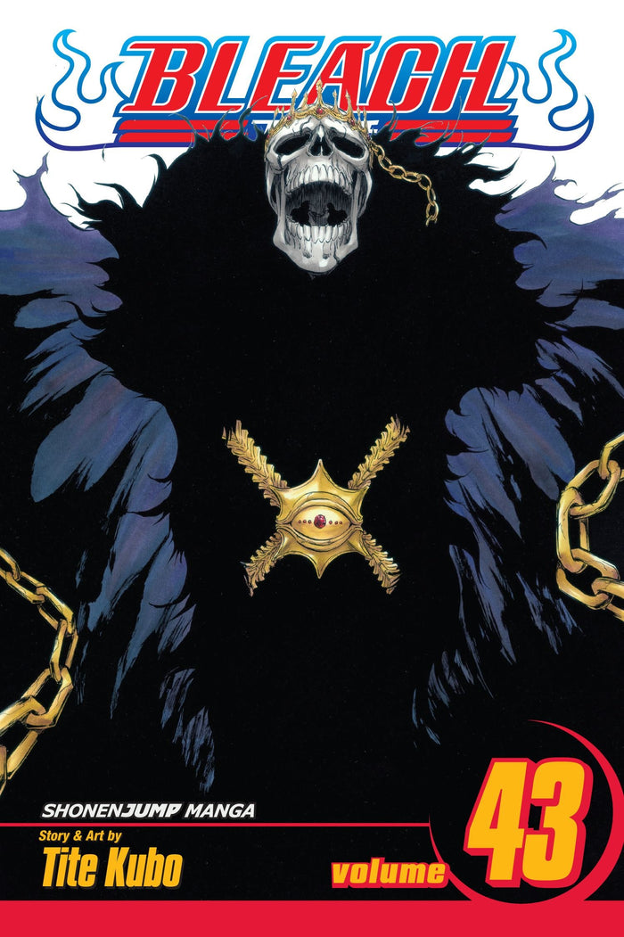 Bleach, Vol. 43 by Tite Kubo - Paperback cover