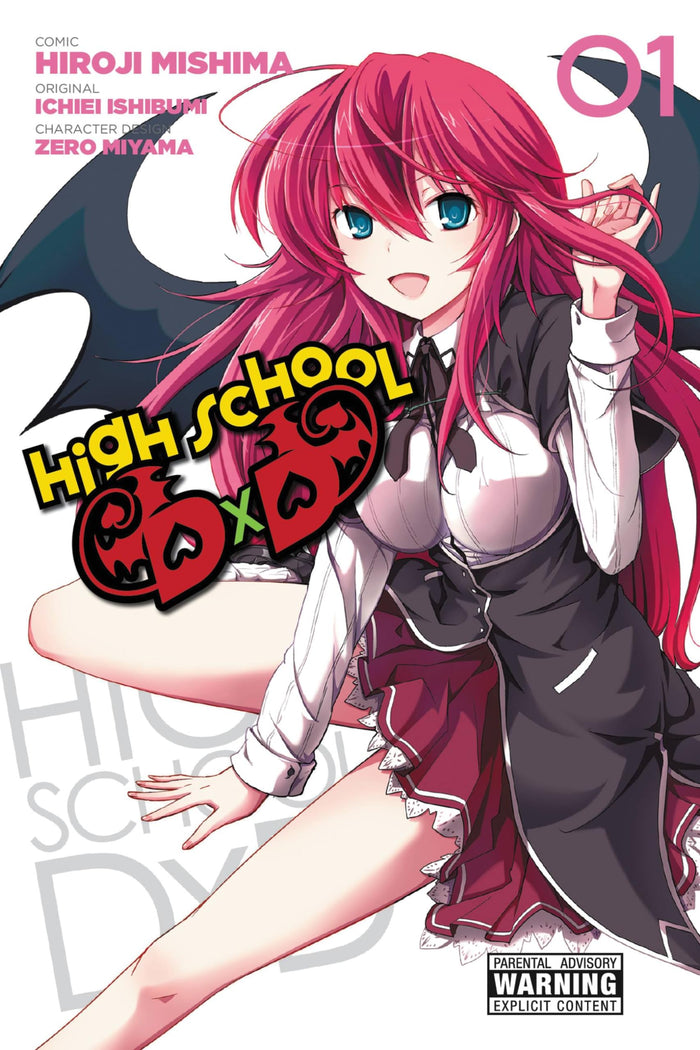 High School DxD, Vol. 1 - manga by translator - Paperback cover