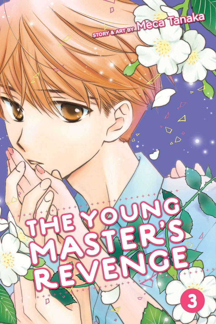 The Young Master's Revenge, Vol. 3 by Meca Tanaka - Paperback cover
