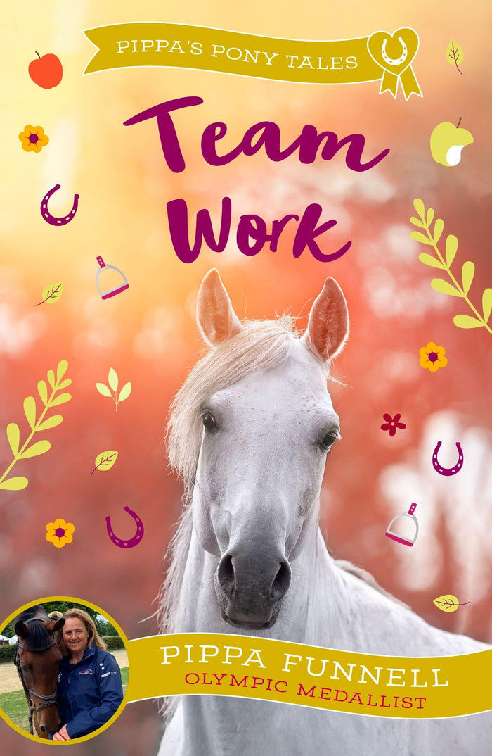 Zephyr Team Work (Pippas Pony Tales). by Pippa Funnell - Paperback cover