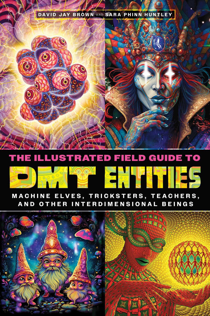 The Illustrated Field Guide to DMT Entities: Machine Elves, Tricksters, Teachers, and Other Interdimensional Beings by David Jay Brown - Paperback cover