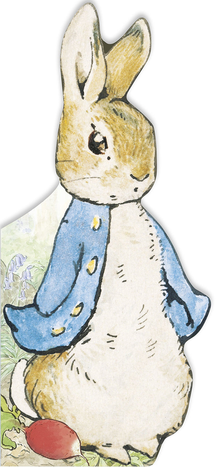 All About Peter by Beatrix Potter - Board Book cover