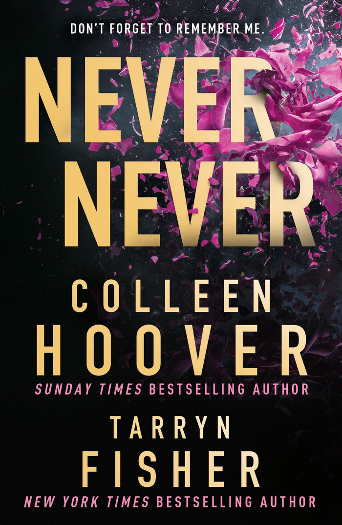 Never Never: TikTok made me buy it! by Colleen Hoover - Paperback cover