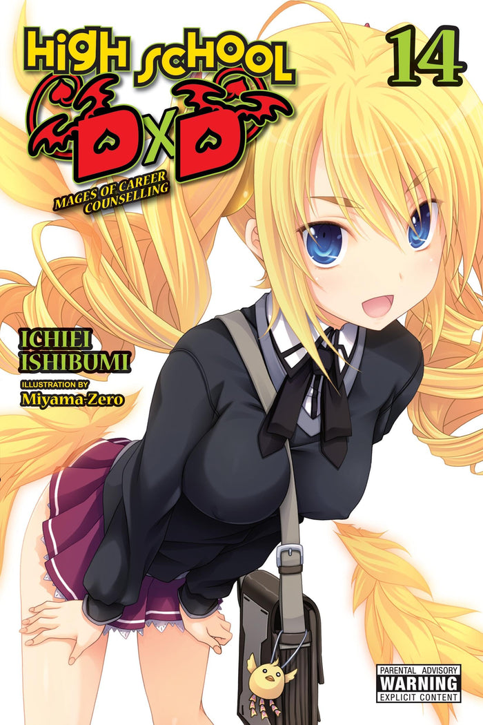 High School DxD, Vol. 14 (light novel): Mages of Career Counselling (Volume 14) (High School DxD (light novel), 14) by Ichiei Ishibumi - Paperback cover
