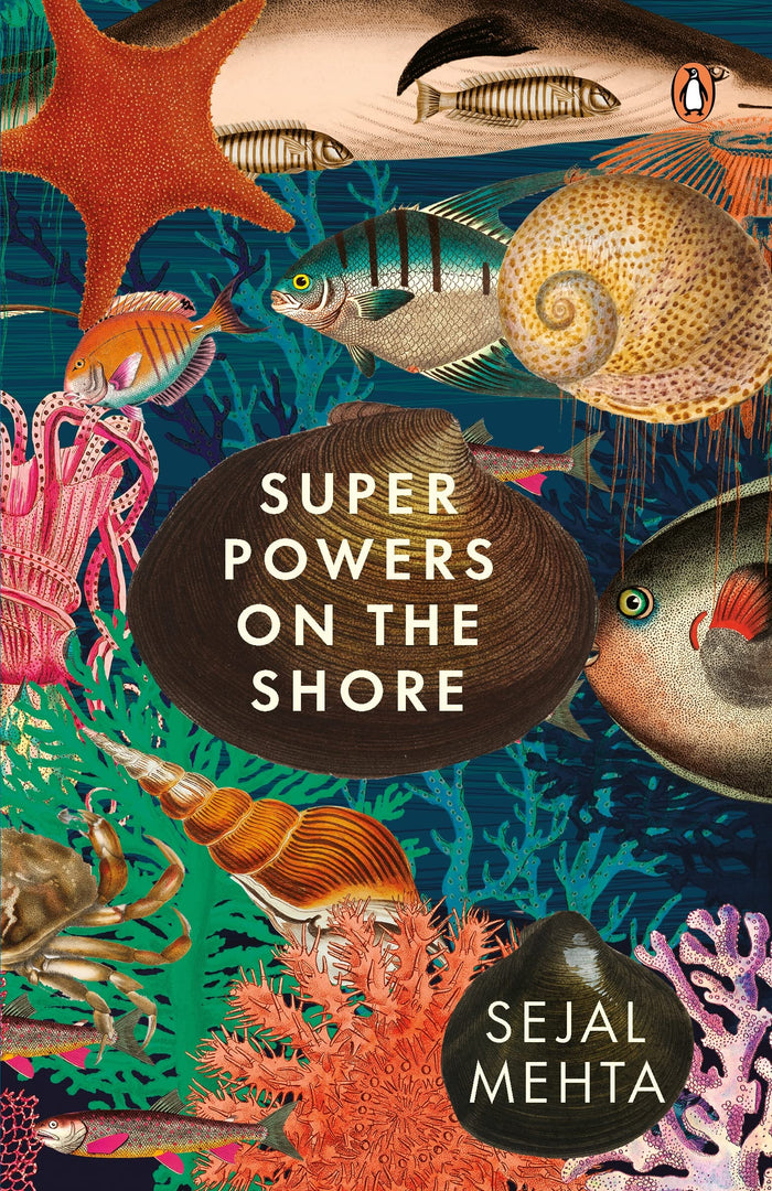 Superpowers on the Shore by Sejal Mehta - Paperback cover