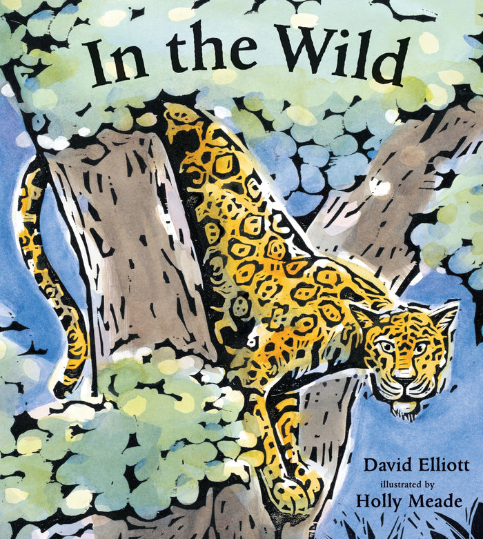 In the Wild (Paws, Fins, Feathers, Claws) by David Elliott - Paperback cover