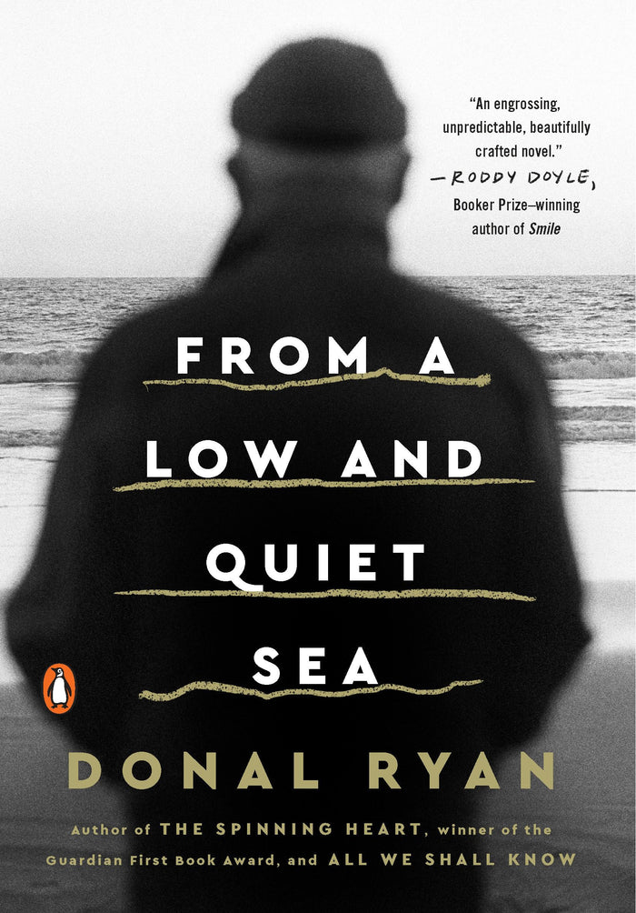 From a Low and Quiet Sea: A Novel by Donal Ryan - Paperback cover