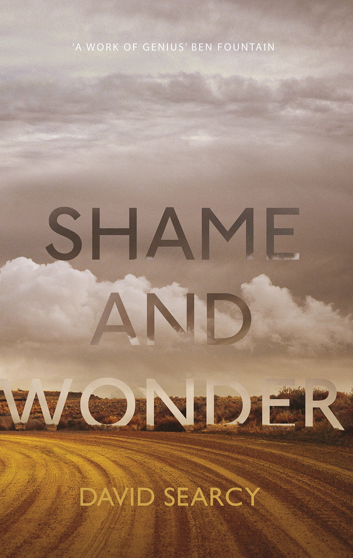 Shame and Wonder by David Searcy - Hardcover cover