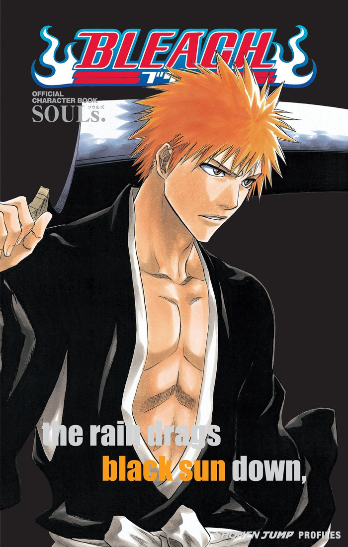 Bleach SOULs. Official Character Book by Tite Kubo - Paperback cover