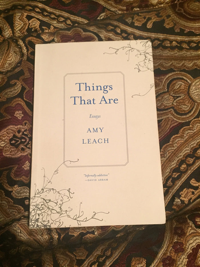 Things That Are: Essays by Amy Leach - Paperback cover
