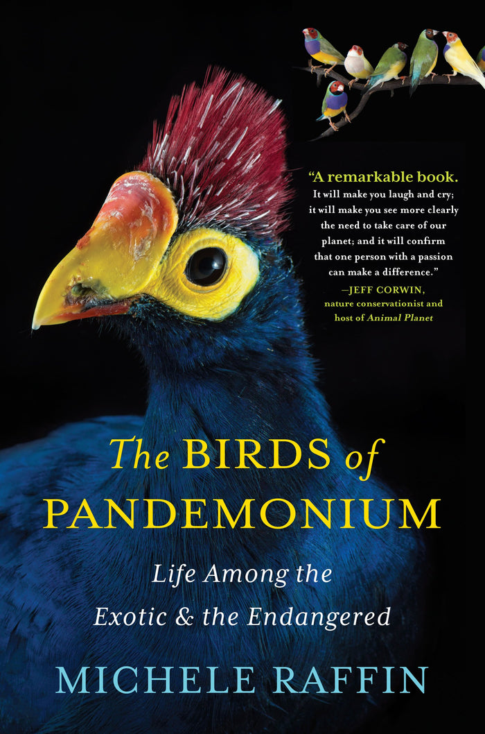 The Birds of Pandemonium by Michele Raffin - Hardcover cover