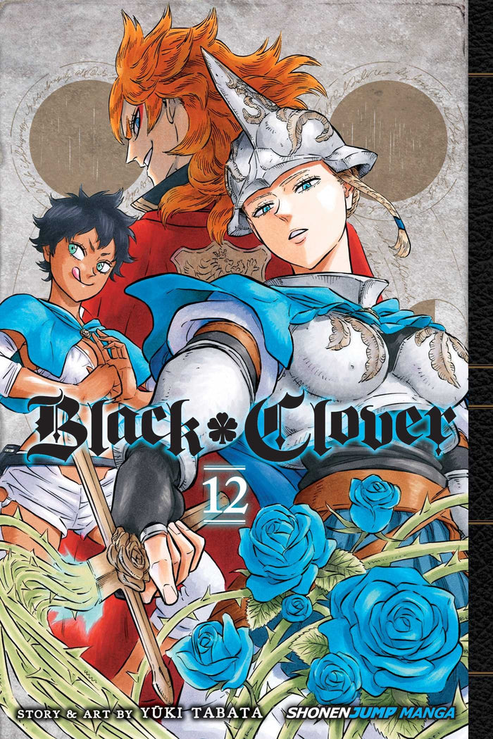 Black Clover, Vol. 12: The Briar Maiden's Melancholy by Yuki Tabata - Paperback cover