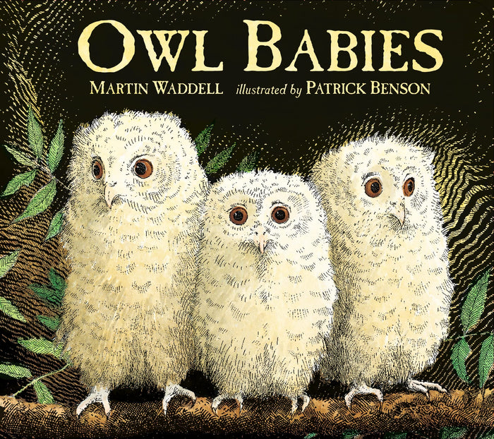 Owl Babies by Martin Waddell - Board Book cover