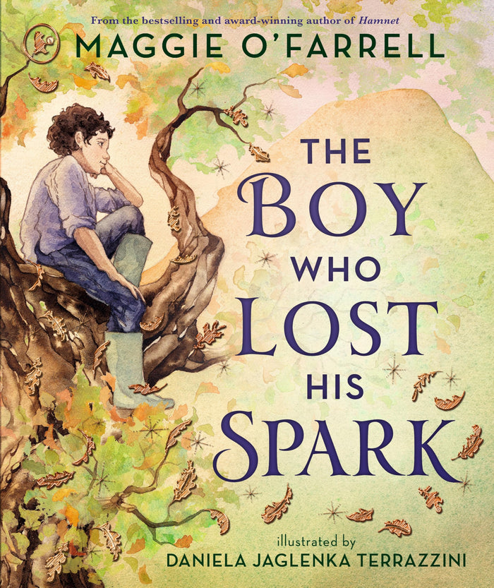 Walker Books Ltd. The Boy Who Lost His Spark. by Ofarrell Maggie - Paperback cover