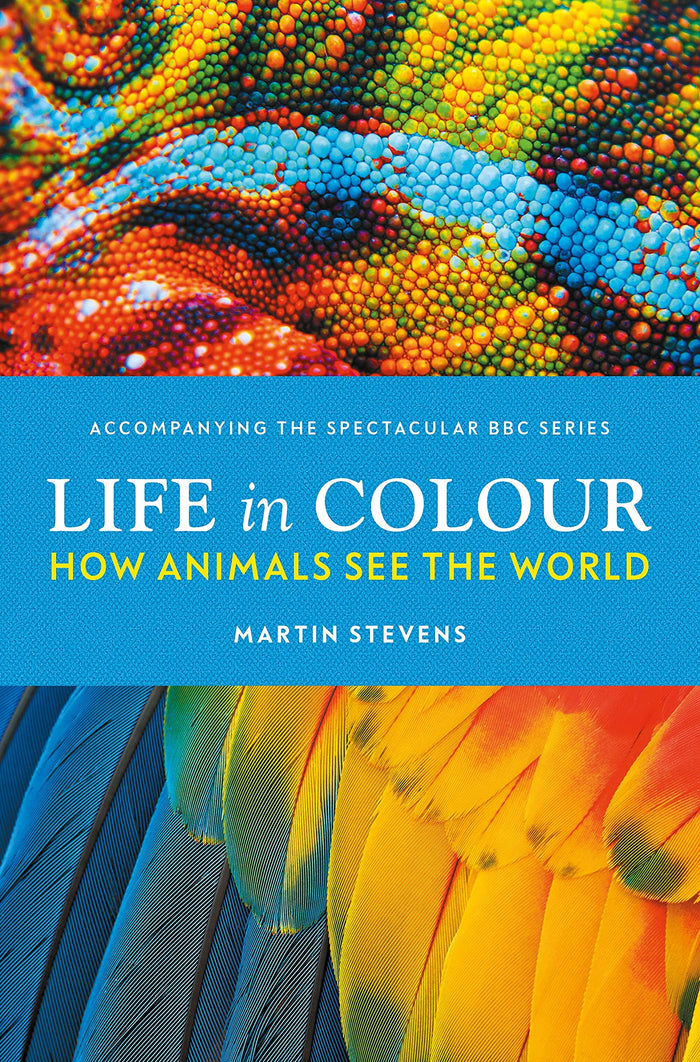 Life in Colour: How Animals See the World by Martin Stevens - Hardcover cover